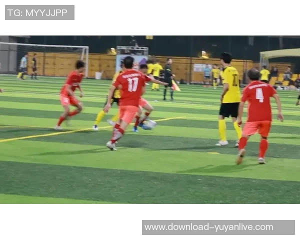 足球特技表演视频精彩瞬间集锦让你领略球场上的绝妙技艺与创意表演