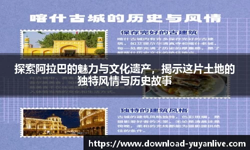 雨燕体育直播APP