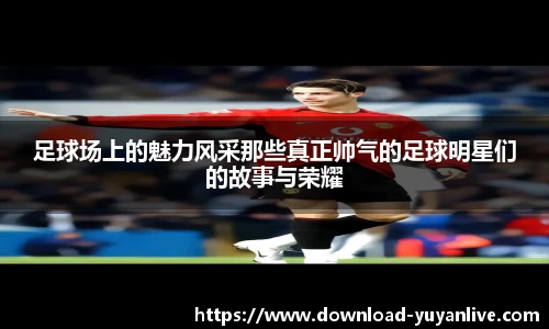 雨燕体育直播平台