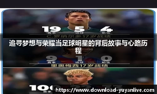 雨燕体育直播APP