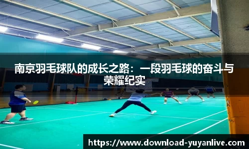 雨燕体育直播平台