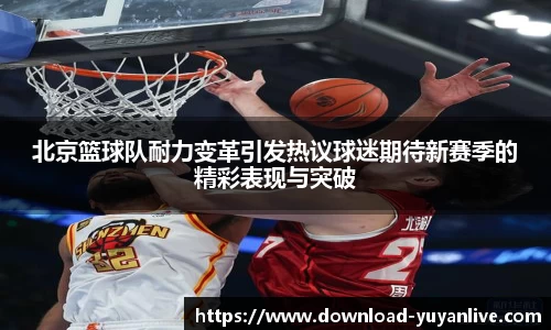 雨燕体育直播官方网站