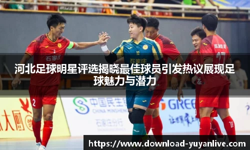 雨燕体育直播官方网站