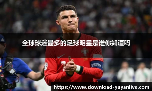 雨燕体育直播APP