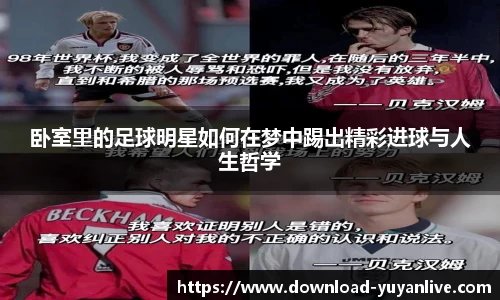 雨燕体育直播平台